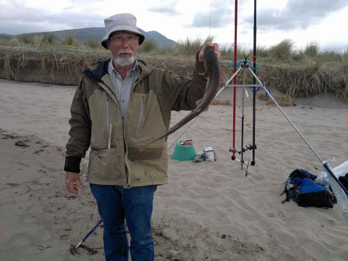 Dogfish på Trench beach, ny klub rekord 68 cm